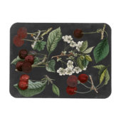 オーチャード品種I マグネット (横)