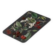 オーチャード品種I マグネット (左側)