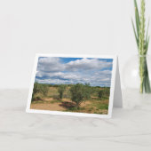 オーチャード スカイ ランドスケープ カード (正面)