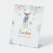 オーディアウィンター男の赤ちゃんシャワーキャンディズゲーム 台座サイン (正面)