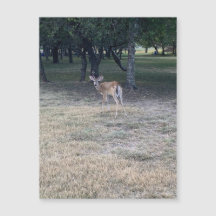 オーディアマグネット