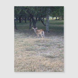 オーディアマグネット