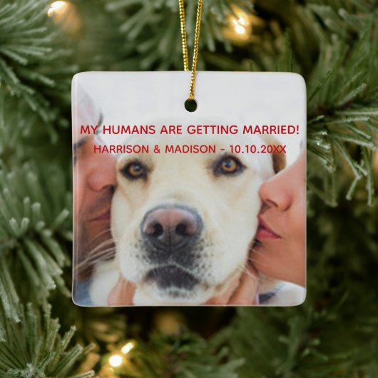 オーディエンス発表 カスタム写真 犬 クリスマス セラミックオーナメント (ツリー)