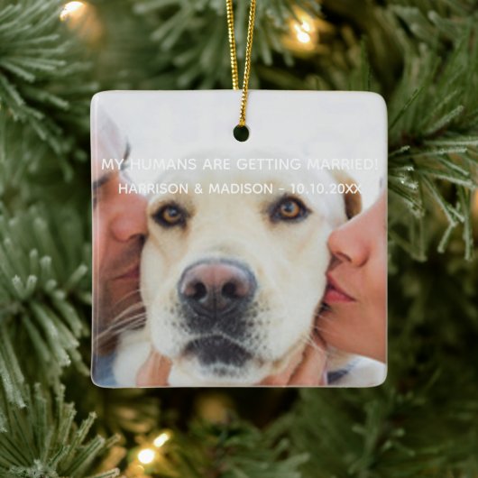 オーディエンス発表 カスタム写真 犬 クリスマス セラミックオーナメント (ツリー)