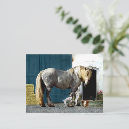 『オーディンと双子』のはがき ポストカード (スタンド正面)