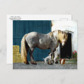 『オーディンと双子』のはがき ポストカード (正面/裏面)