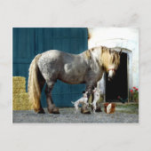 『オーディンと双子』のはがき ポストカード (正面)