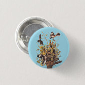 オーデュボンのモッキングバードvsガラヘビ 缶バッジ (正面&裏面)