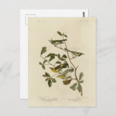 オーデュボンの鳥、金翼とケープ・メイ・ワーブラーズ ポストカード (正面/裏面)