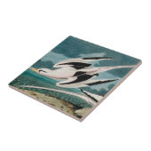 オーデュボン白い尾のトロピク鳥 タイル (側面)