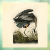 オーデュボン アオサギ 湿地の鳥 ウィンドウサイン (シート3)
