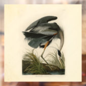 オーデュボン アオサギ 湿地の鳥 ウィンドウサイン (シート2)