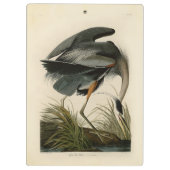 オーデュボン アオサギ 湿地の鳥 クリップボード (裏面)