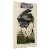 オーデュボン アオサギ 湿地の鳥 クリップボード (右)