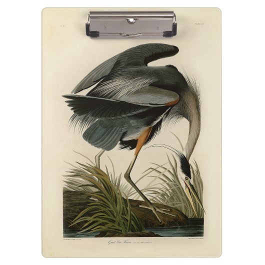 オーデュボン アオサギ 湿地の鳥 クリップボード (正面)