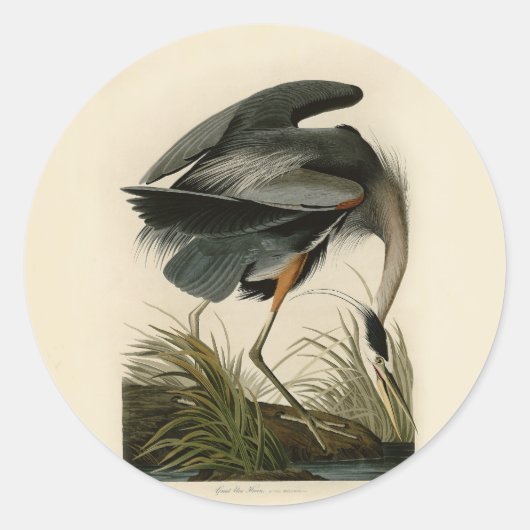 オーデュボン・アメリカオオアオサギ 湿地の鳥 ラウンドシール (正面)