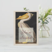 オーデュボン アメリカクロペリカン アメリカ 招待状 (スタンド正面)