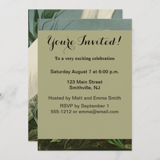 オーデュボン スノーイーグル ホワイトエグレット 鳥 鳥類 招待状 (正面/裏面)