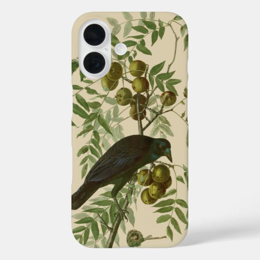 オーデュボン ムラサキツヤクワガタ 鳥のプリント ビンテージ植物学 Case-Mate iPhoneケース (裏面)