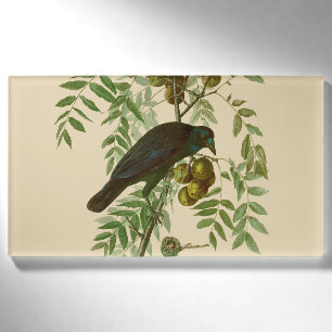オーデュボン ムラサキツヤクワガタ 鳥の版画 ビンテージ植物学 名札
