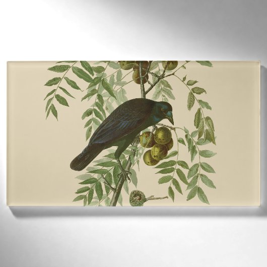 オーデュボン ムラサキツヤクワガタ 鳥の版画 ビンテージ植物学 名札 (正面)