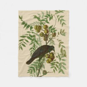 オーデュボン ムラサキツヤクワガタ 鳥の版画 ビンテージ植物画 フリースブランケット
