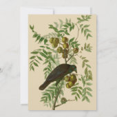 オーデュボン ムラサキツヤクワガタ 鳥の版画 ビンテージ植物画 招待状 (裏面)