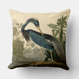 オーデュボン ルイジアナサギ 鳥 アメリカ アート クッション