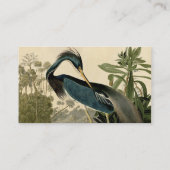 オーデュボン ルイジアナサギ 鳥 アメリカ アート 名刺 (裏面)