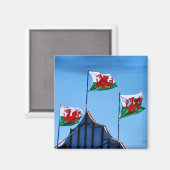 オートウ飛んでいるンのウェールズ国旗 マグネット (正面/裏面)