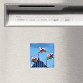 オートウ飛んでいるンのウェールズ国旗 マグネット (インサイチュ (食洗機))