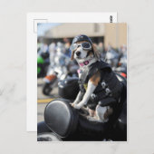 オートバイの写真におもしろい犬 ポストカード (正面/裏面)