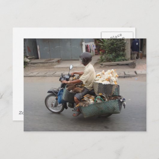 オートバイクベトナムのアヒル ポストカード (正面/裏面)