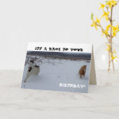 オートムギが付いている馬のバースデー・カードか。 カード (黄色い花)