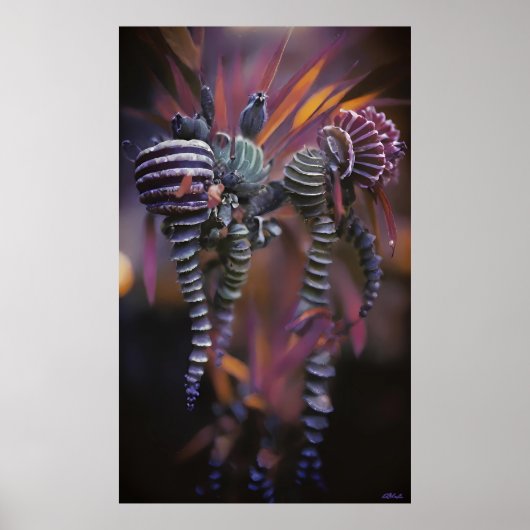 オートンティコ ポスター (正面)