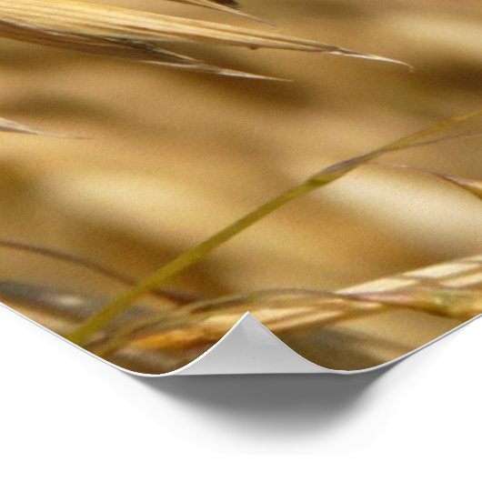 オート場 ポスター (角)