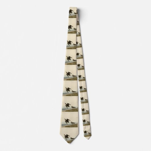 オードゥボンのアメリカの鳥より、シンツのサンドパイパー ネクタイ (正面)
