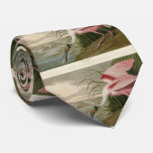 オードゥボンのアメリカ鳥のローゼート・スプーンビル ネクタイ (ロール)