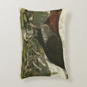 オードゥボンのアメリカ鳥の雌の野鳥 アクセントクッション (正面(垂直))