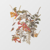 オードゥボンのルビーが喉を切り裂いたハミングバードと花 ウィンドウサイン (シート)