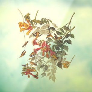 オードゥボンのルビーが喉を切り裂いたハミングバードと花 ウィンドウサイン