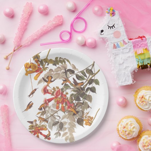 オードゥボンのルビーが喉を切り裂いたハミングバードと花 ペーパープレート (パーティー)