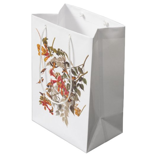 オードゥボンのルビーが喉を切り裂いたハミングバードと花 ミディアムペーパーバッグ (裏面アングル)