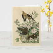 オードゥボンの鳥を悼むカロライナの亀の鳩 カード (黄色い花)