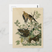 オードゥボンの鳥を悼むカロライナの亀の鳩 ポストカード (正面/裏面)