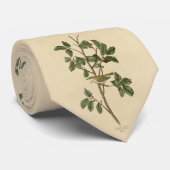 オードゥボンの『アメリカの鳥』から引用したテネシー・ウォーブラー ネクタイ (ロール)