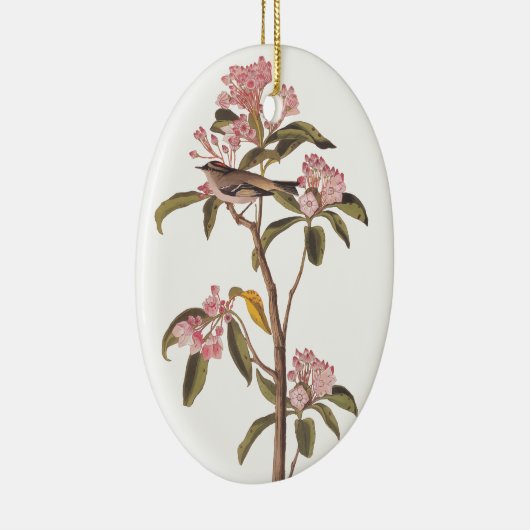 オードゥボンキュビエのキングレット謎の鳥 セラミックオーナメント (右)