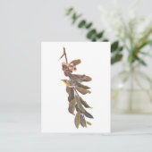 オードゥボンズイエロースロートウォーブラーバーオンツリーブランチ ポストカード (スタンド正面)