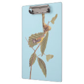 オードゥボンズスワインソンズウォーブラーオンオークブランチ クリップボード (左)