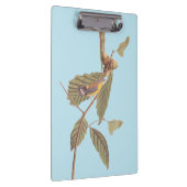 オードゥボンズスワインソンズウォーブラーオンオークブランチ クリップボード (右)